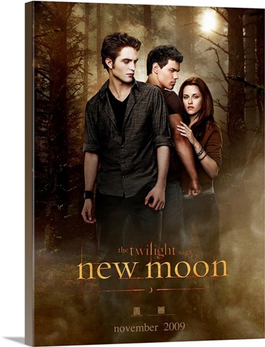 the twilight saga new moon