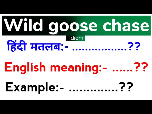 wild goose chase meaning in hindi