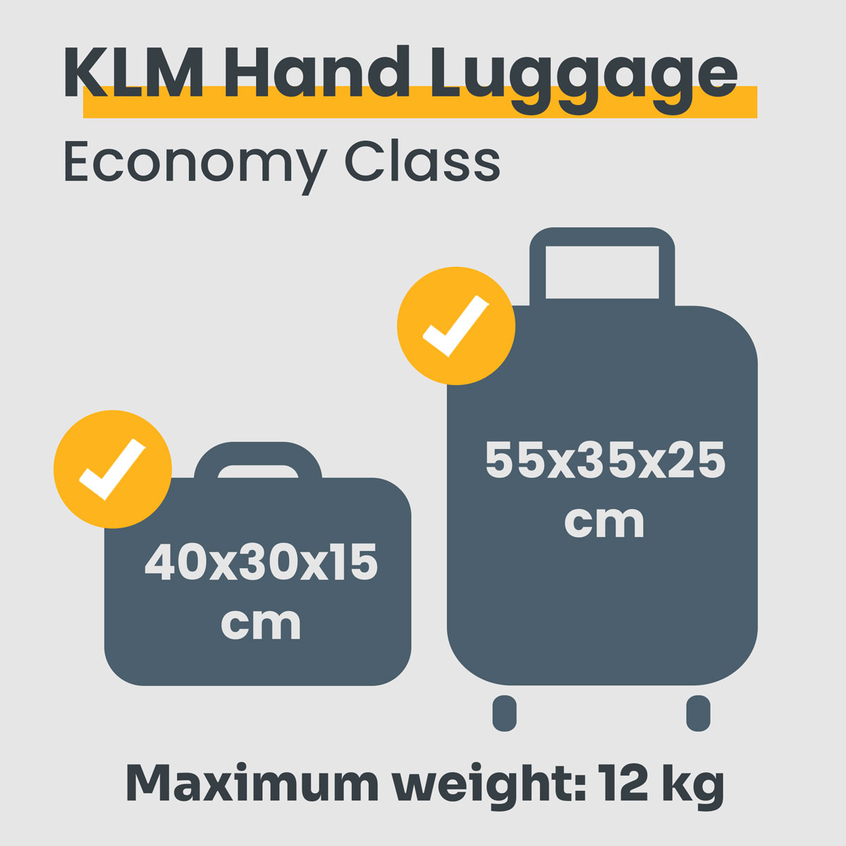 klm check in luggage