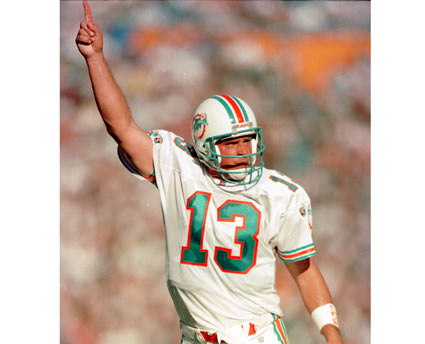 1984 miami dolphins season