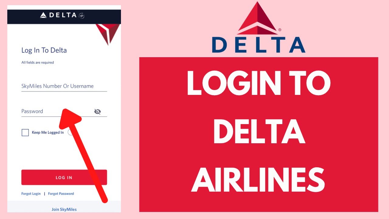 deltanet.delta com