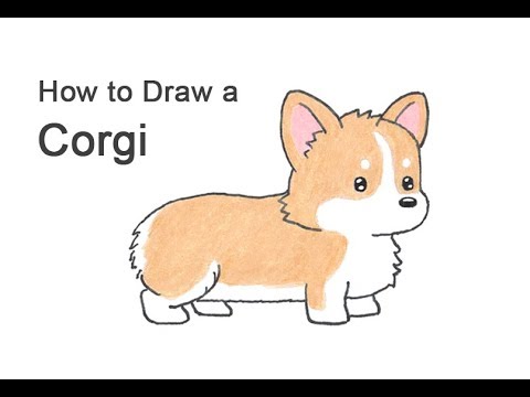 how to draw a corgi