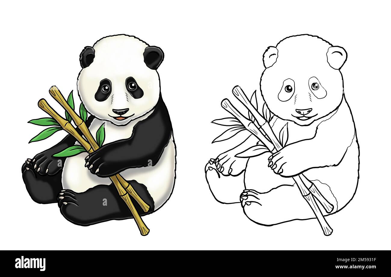 dibujo de un oso panda para colorear