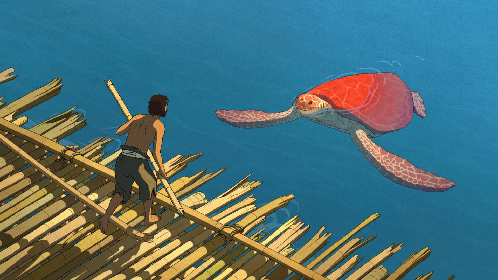 red turtle imdb