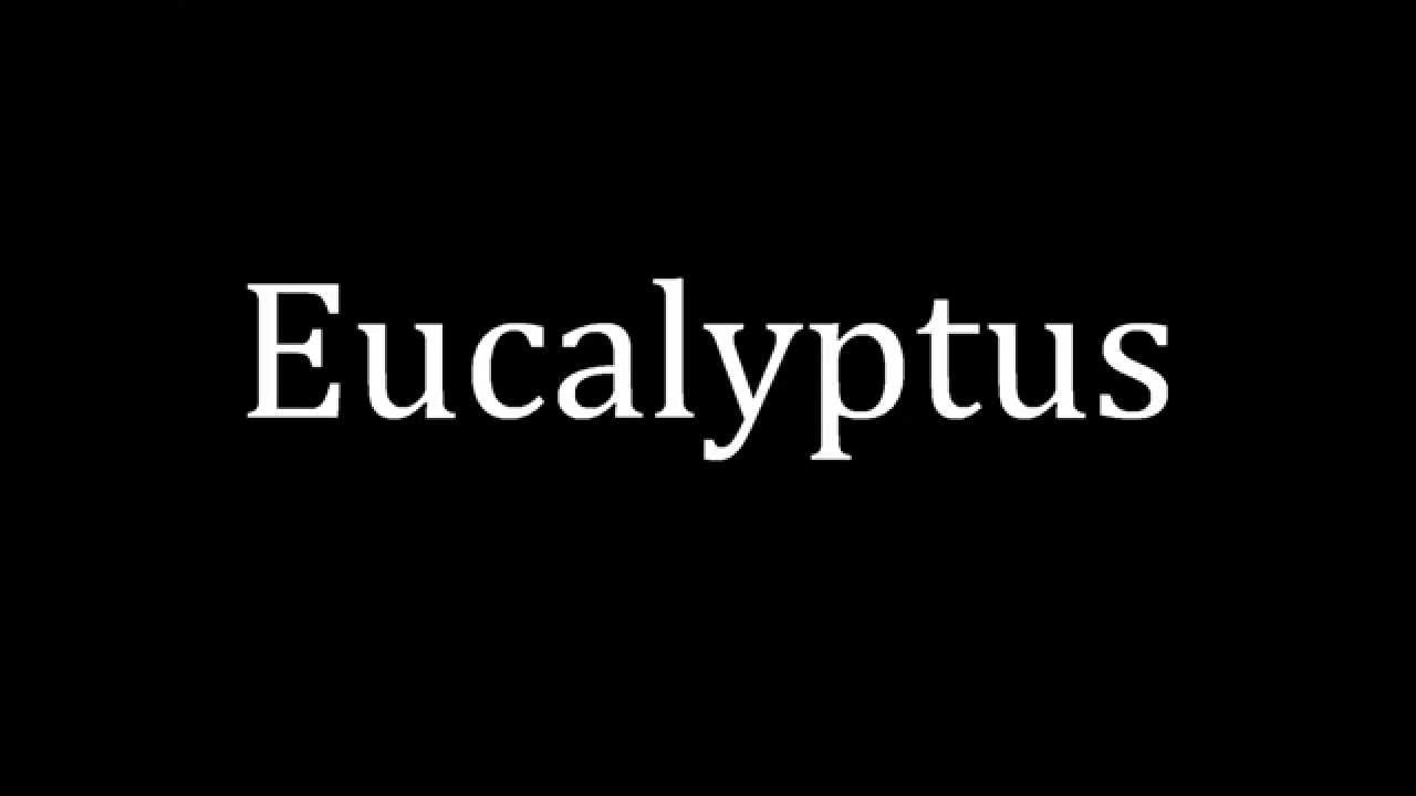 eucalyptus pronunciation