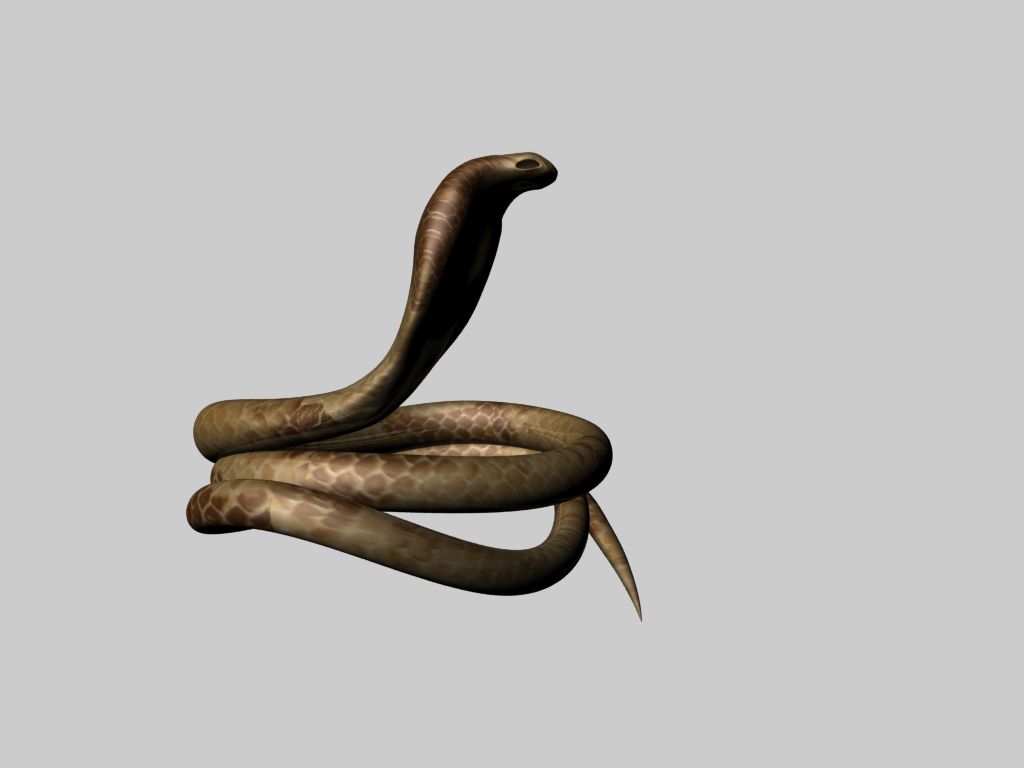 blender snake model free download