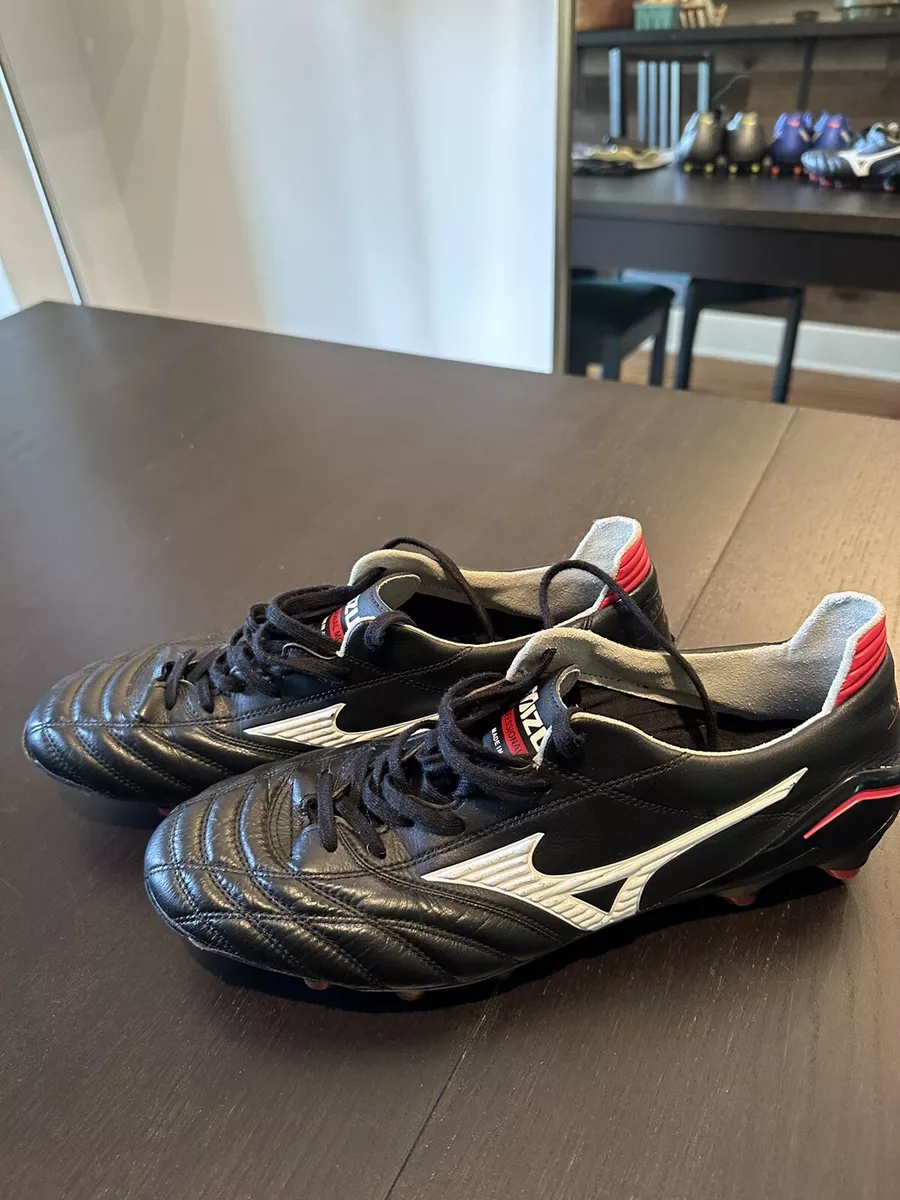 morelia neo ii