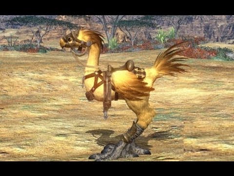 final fantasy 14 chocobo