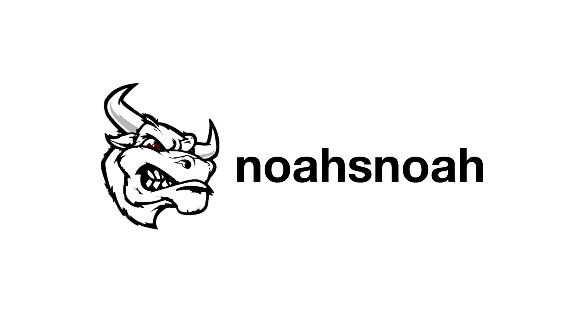 noahsnoah age