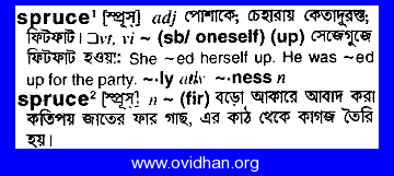 spruce meaning in bengali