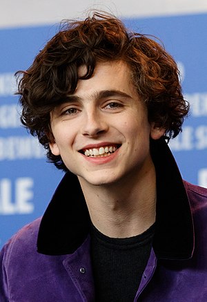 timothee chalamet zodiac sign