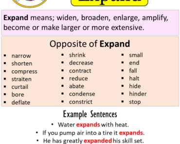 antonym for random