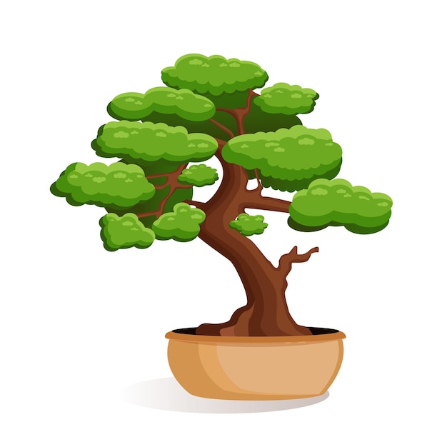 bonsai clipart