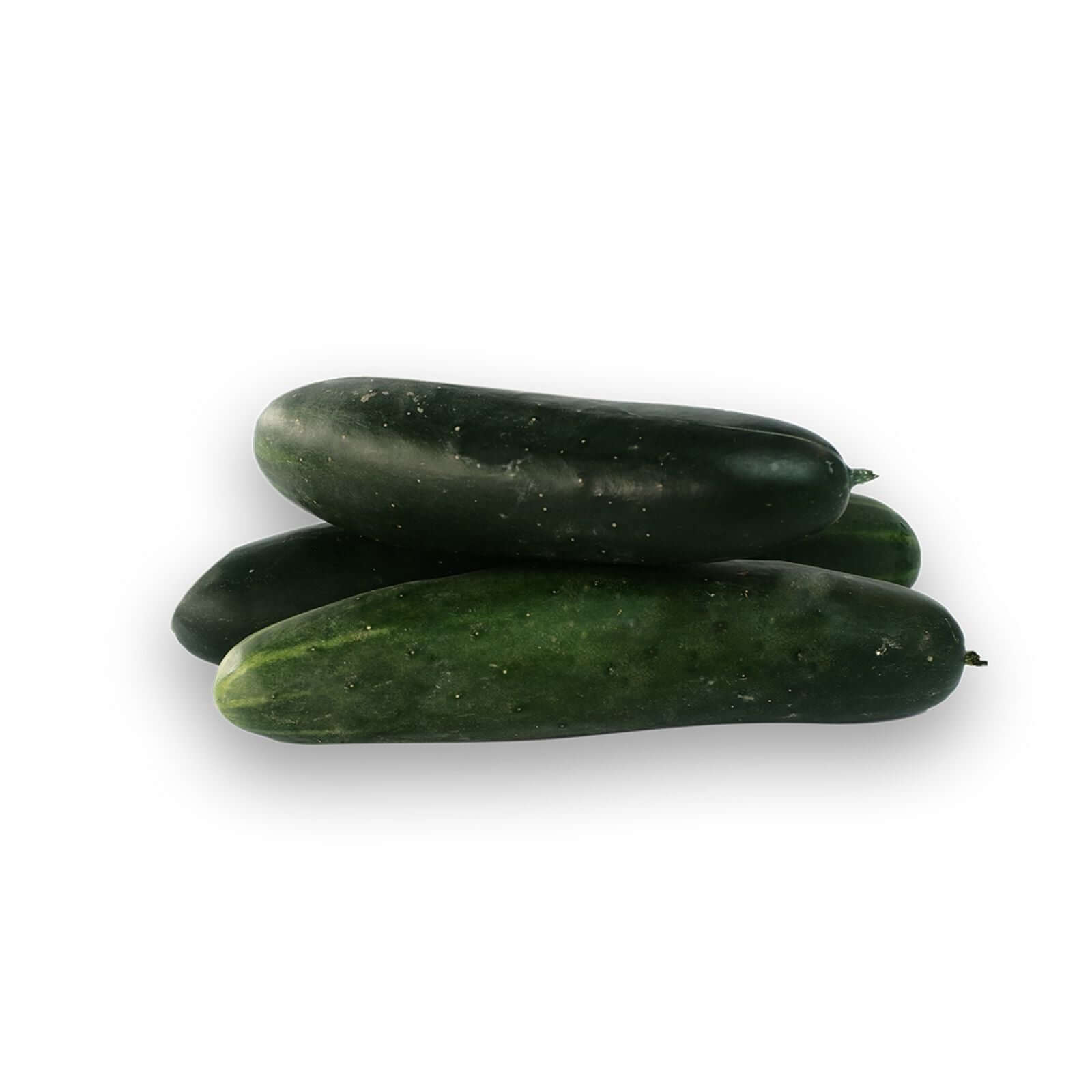 cucumber price philippines 2019