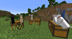 minecraft cats sit on chests