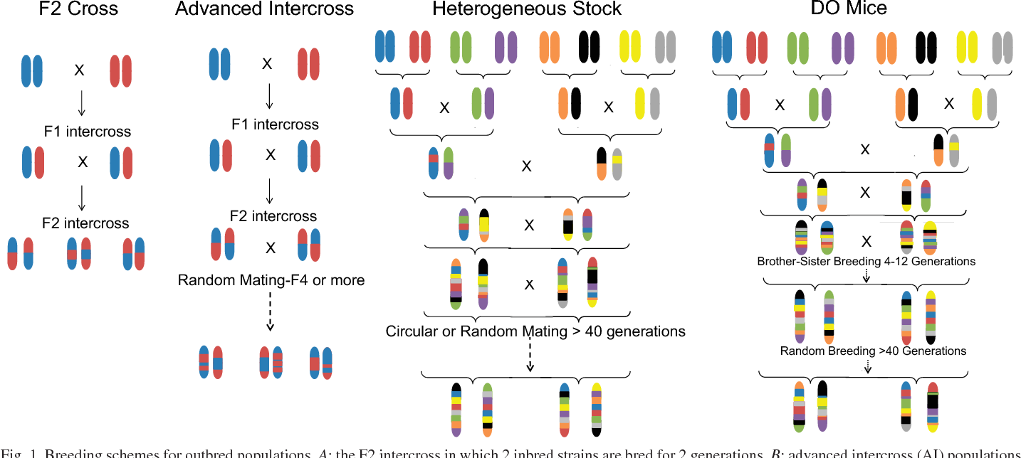 quantitative trait loci