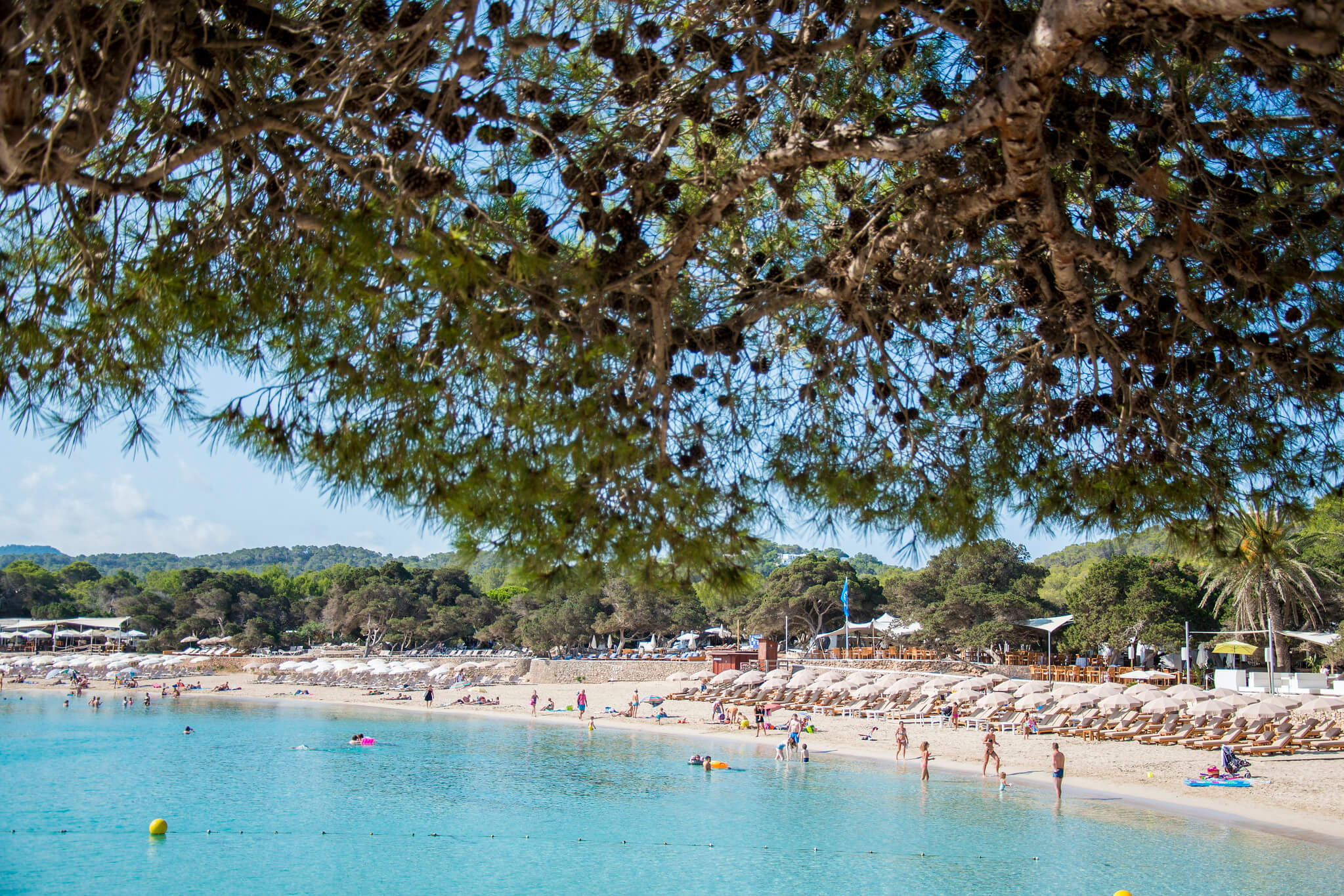 calabasas beach club ibiza