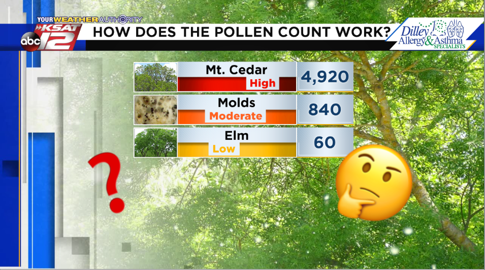 what is the pollen level today