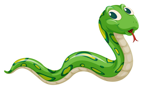 snake clipart images