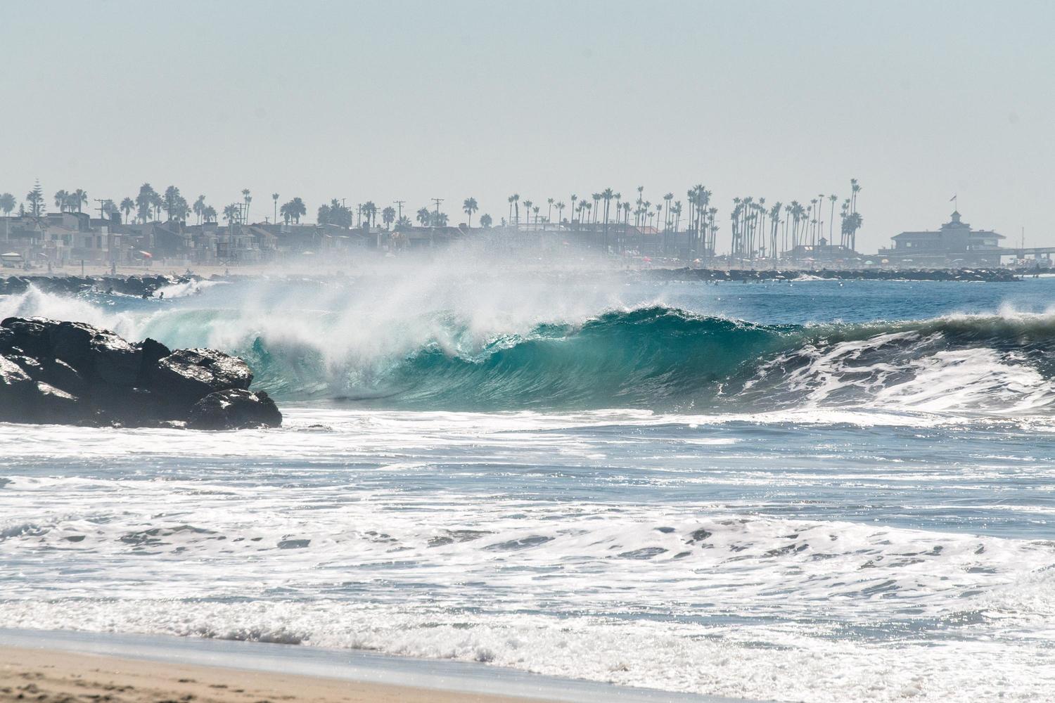 newport surf report