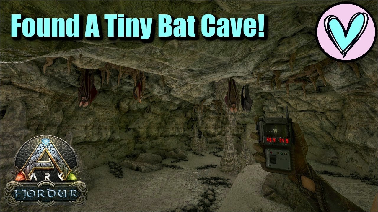 bat cave ark fjordur