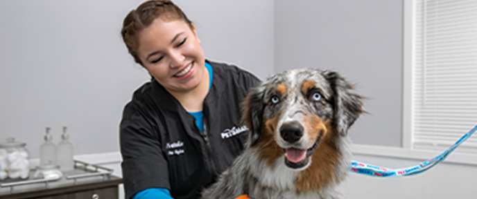 petsmart nail clipping