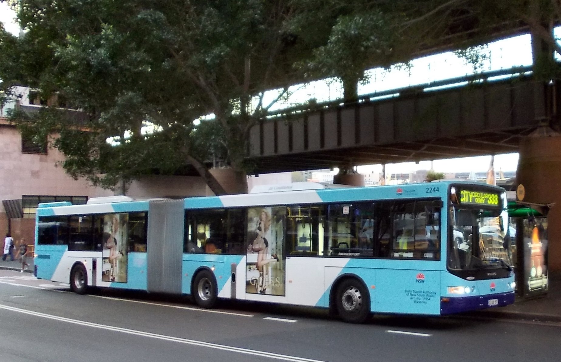 333 bus route sydney