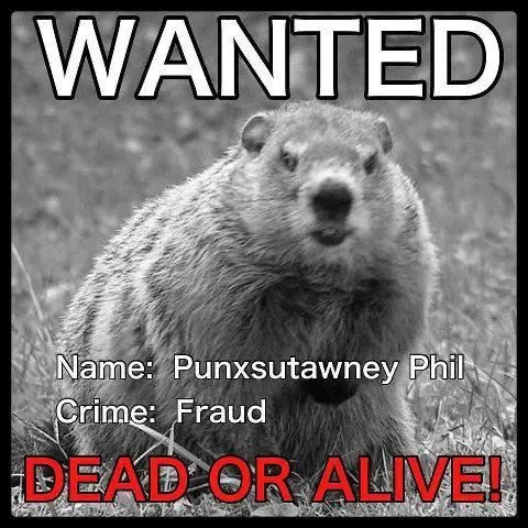 punxsutawney phil meme 2023