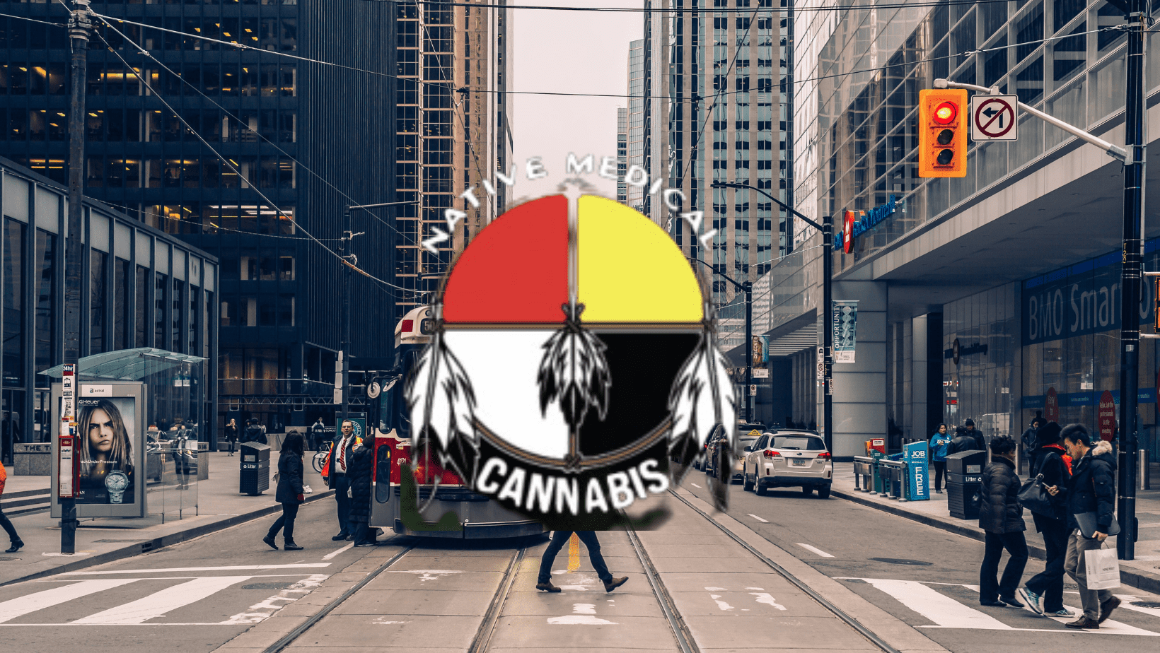 medicine wheel dispensary toronto