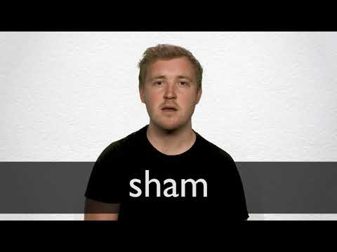 sham thesaurus