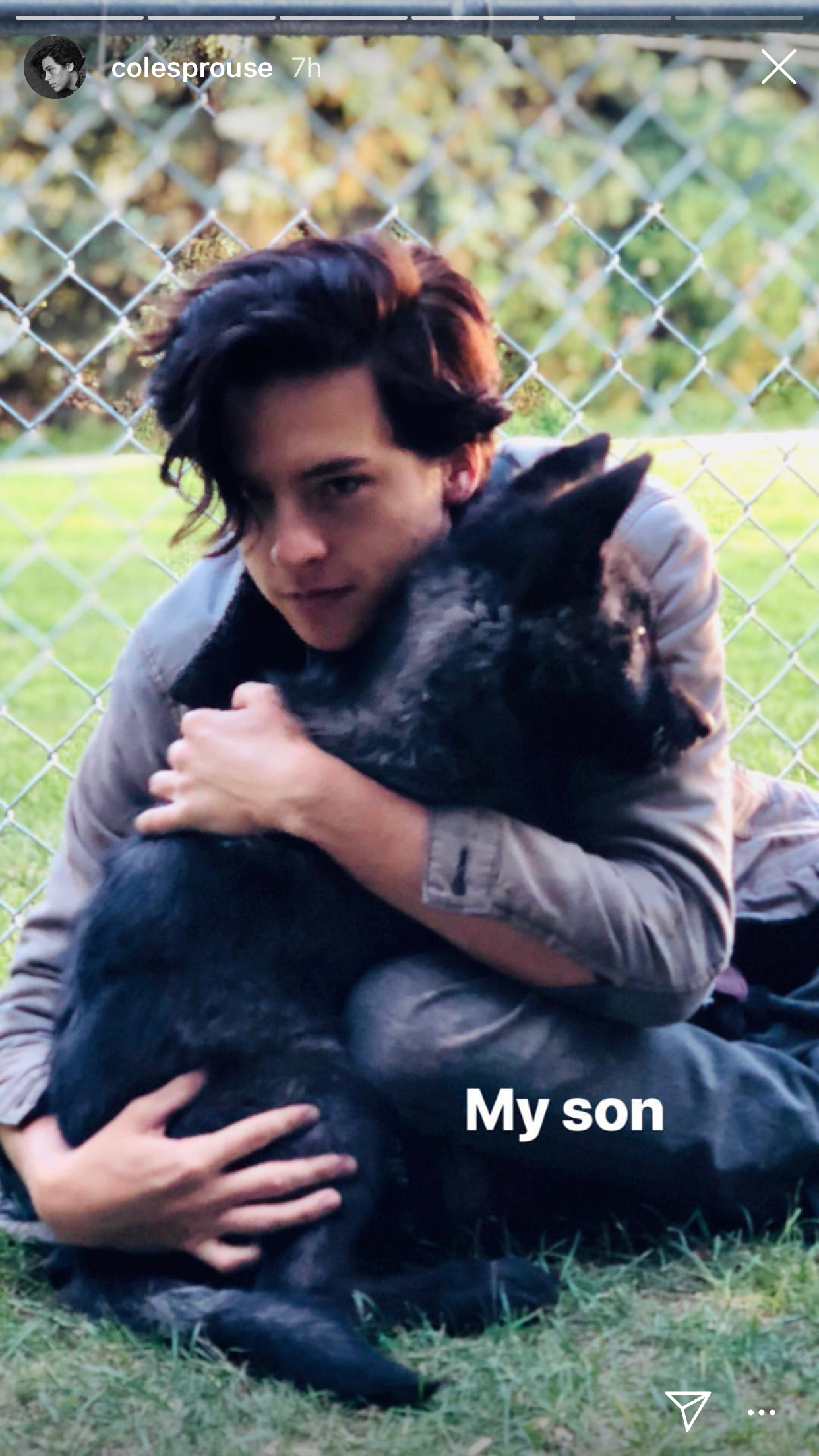 cole sprouse with dogs