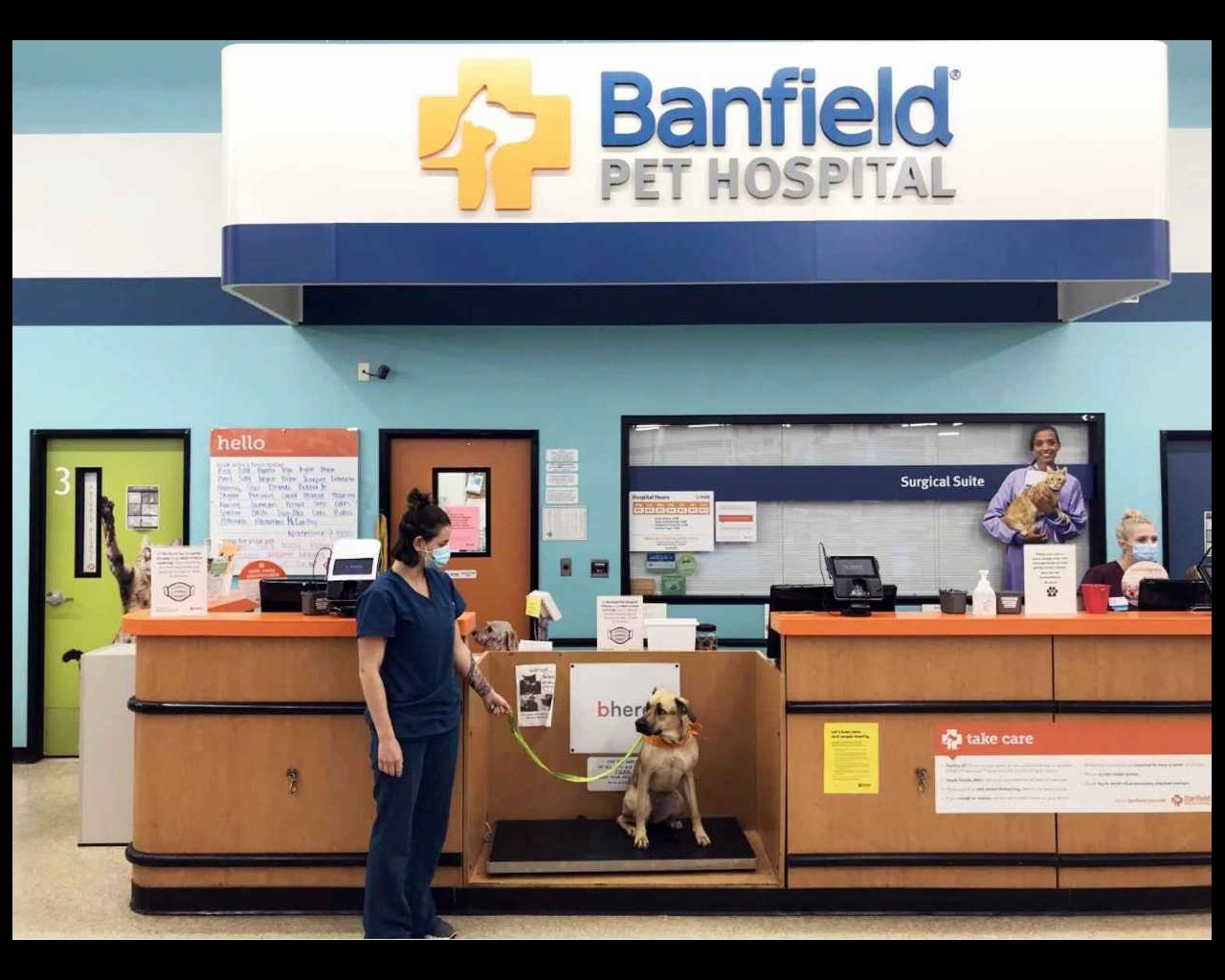 banfield near me