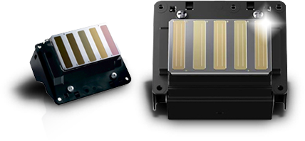 epson precisioncore vs micro piezo