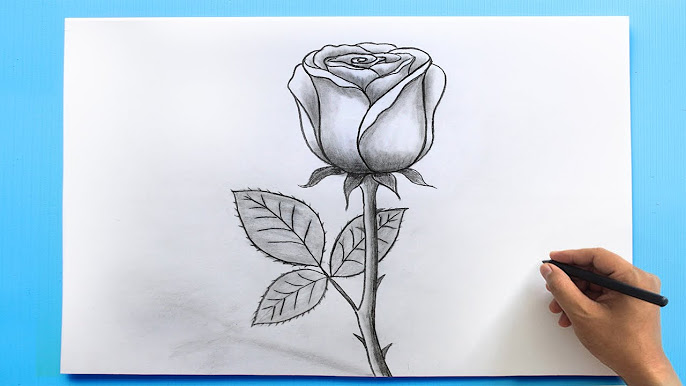 picture of flowers to draw