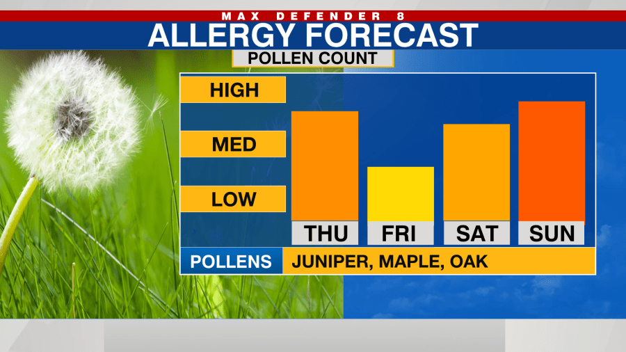 allergy count today