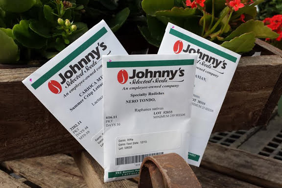 johnnys seeds