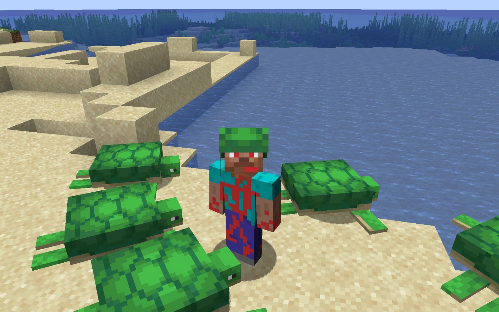 how to get turtle shell in minecraft