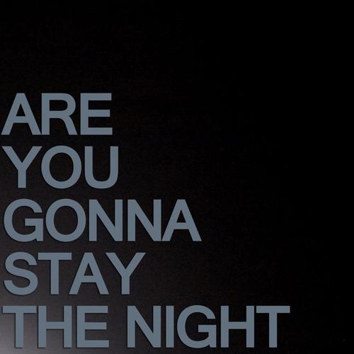 lyrics are you gonna stay the night