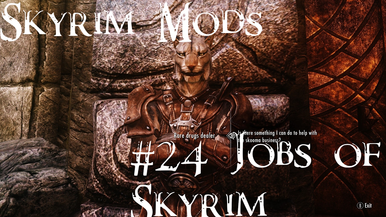 jobs of skyrim