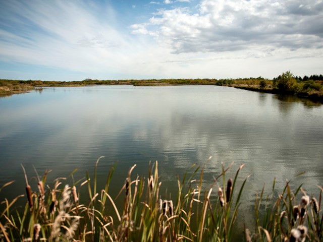 black nugget lake campground photos