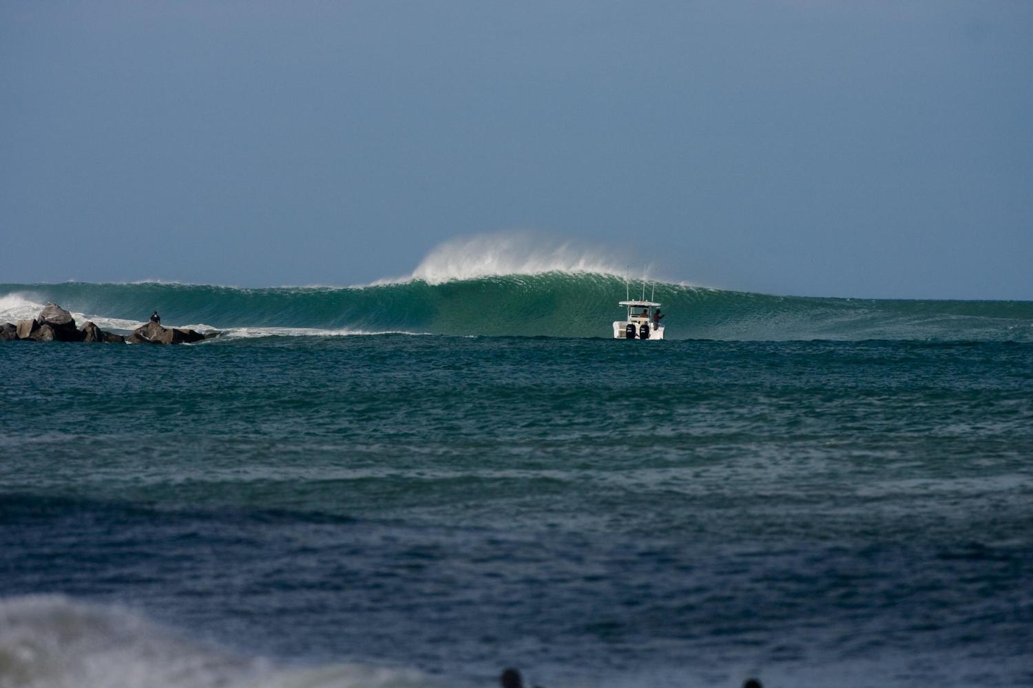 juno surf report