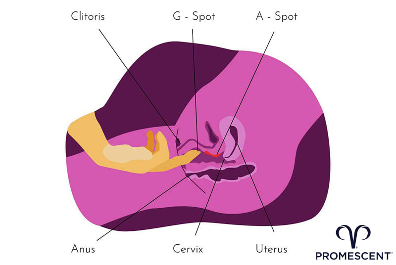 pictures of how to masturbate