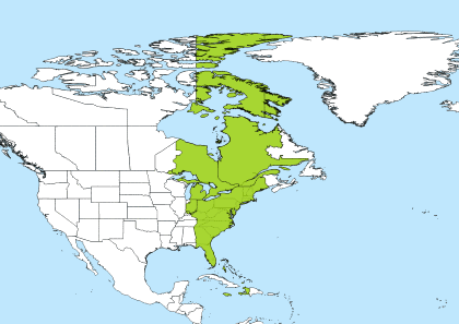 utc to est time zone converter