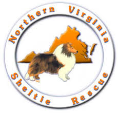 northern virginia sheltie rescue