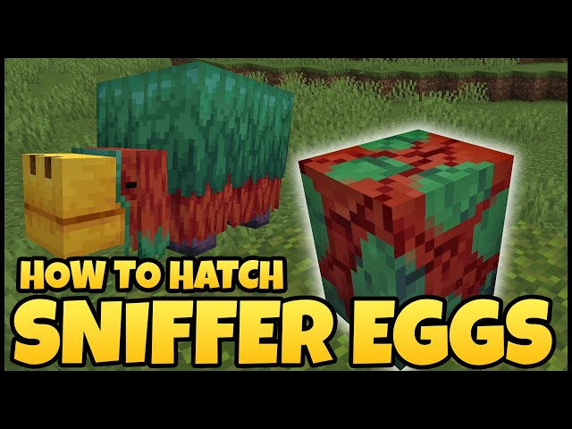 how to get a sniffer egg in minecraft