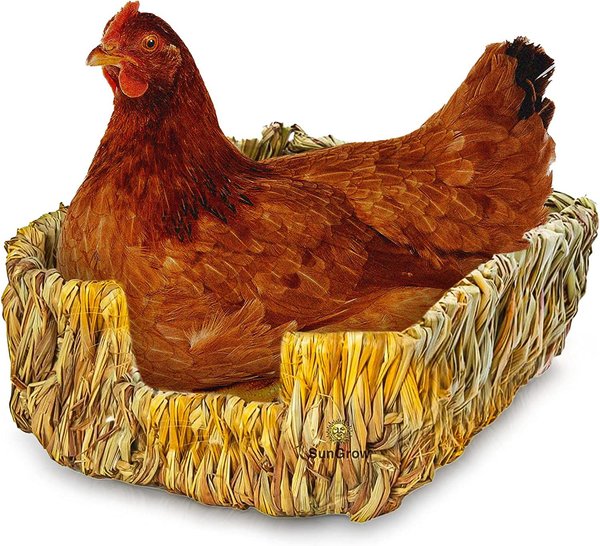 chicken nesting baskets