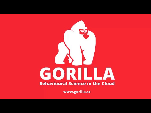 gorilla experiment builder