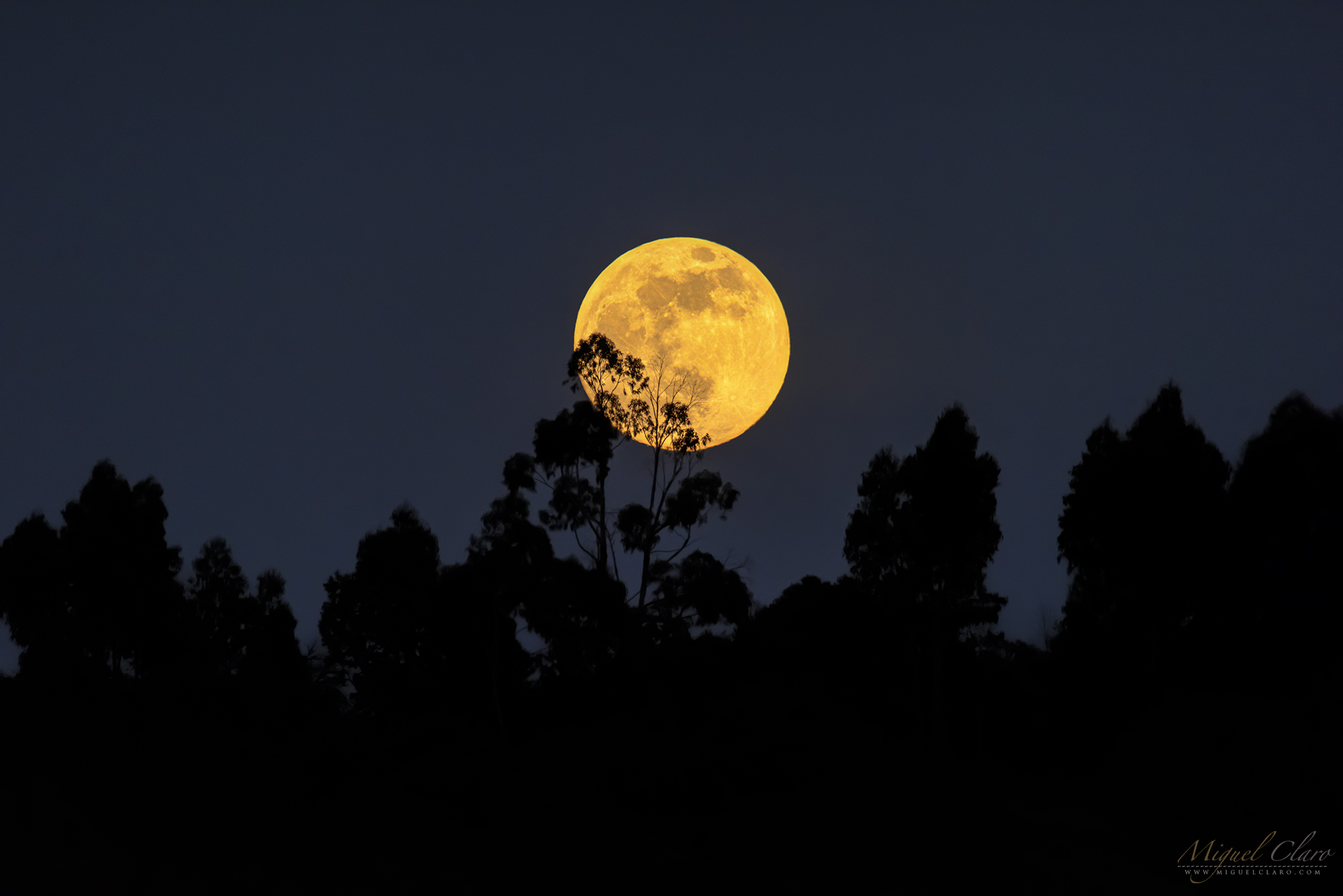 full moon moonrise