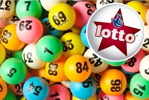 lotto bonus ball last night