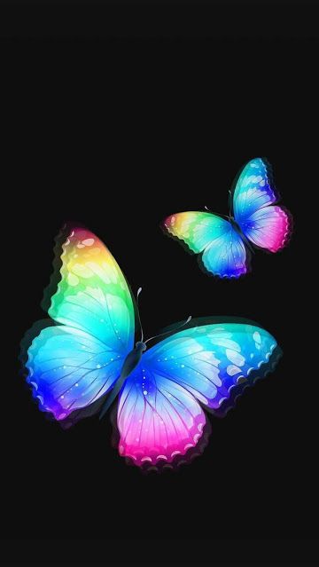 beautiful butterfly dp